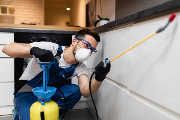 Best Termite Control Services  in Bethany, OK
