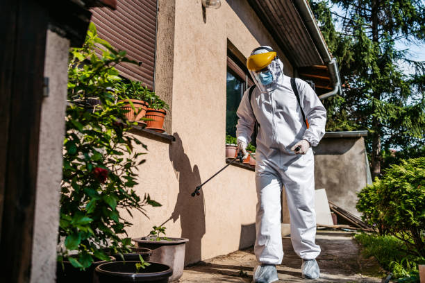 Best Mosquito Control Services  in Bethany, OK