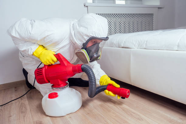 Best Local Pest Control Services  in Bethany, OK