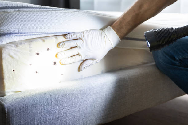 Best Pest Inspection Near Me  in Bethany, OK