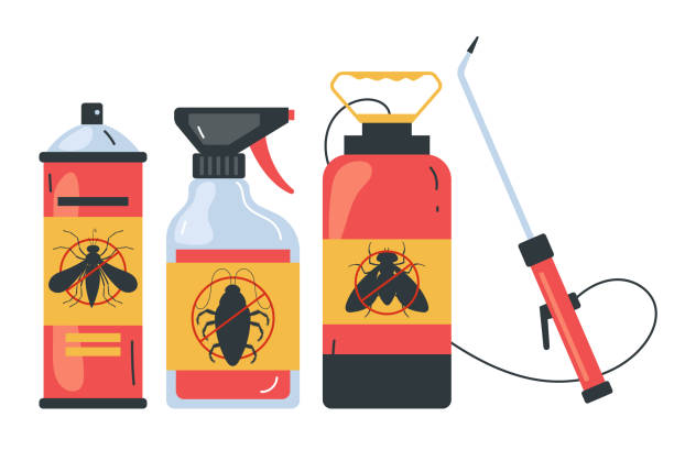 Best Ant Control Services  in Bethany, OK