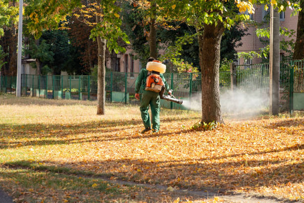 Best Emergency Pest Control  in Bethany, OK