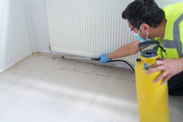 Best Cockroach Control Services  in Bethany, OK